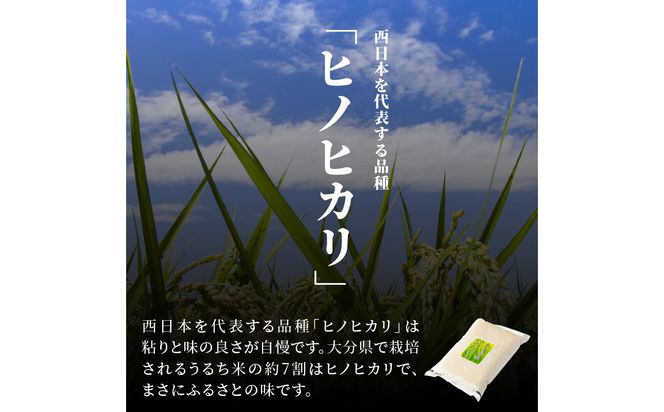 【B01010】大分ヒノヒカリ 3kg