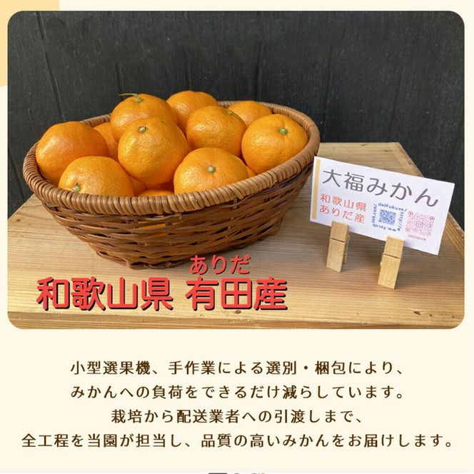 和歌山県有田産 みかん 約10kg　L～Sサイズ（おまかせ）_BT6013n