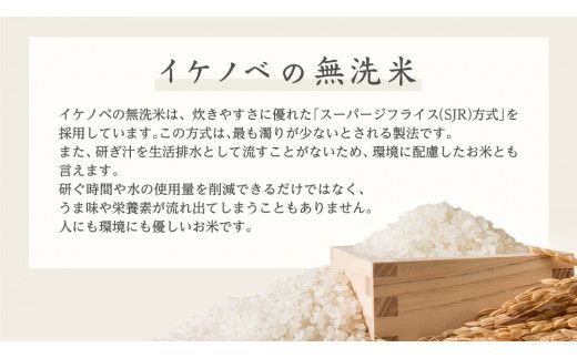 《 令和7年産 》茨城県産 無洗米 コシヒカリ 20kg ( 5kg × 4袋 ) こしひかり 米 コメ こめ 五ツ星 高品質 白米 精米 時短 期間限定 [AC029us]