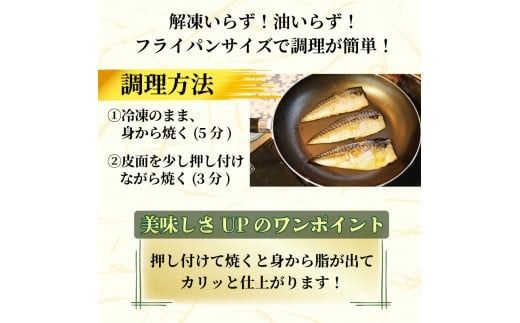 訳あり 塩サバ 約700g~約5kg 冷凍 大容量 鯖 塩 さば 塩鯖 塩さば 魚 海鮮 海産物 おかず ご飯 おすすめ ギフト 贈答 切り身 不揃い サバフィーレ 鯖フィーレ フィーレ 焼き魚 人気 愛知県 南知多町 【配送不可地域：離島】