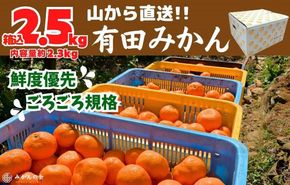 みかん 山から直送 箱込 2.5kg ( 内容量約 2.3kg ) 鮮度優先ごろごろ規格 和歌山県産 産地直送 家庭用【みかんの会】 AX214