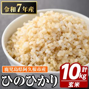 鹿児島県産の玄米 ひのひかり(計10kg・5kg×2袋) 国産 玄米 自社精米 ご飯 おこめ おにぎり お弁当 ひのひかり【谷口ファーム】akn064-09