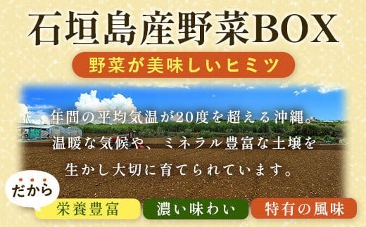 石垣島産 野菜 BOX【３回定期便】（６~８種類）季節ごとに野菜パワーをあなたに！！｜沖縄 石垣島 直送 旬 新鮮 島野菜 野菜セット 野菜 やさい 季節のお野菜 旬の野菜セット 詰め合わせ 定期便 野菜定期便 CK-2 