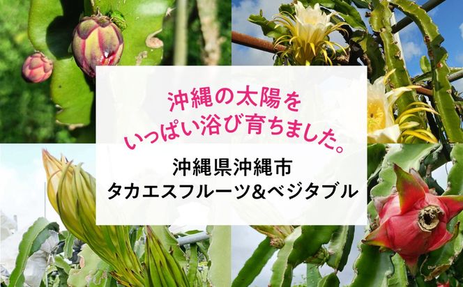 【2026年発送】 農家直送！南国の果物 ドラゴンフルーツ 2.5kg 火龍果 果物 フルーツ デザート お取り寄せ 沖縄市 / タカエス フルーツ＆ベジタブル [BCBH002]