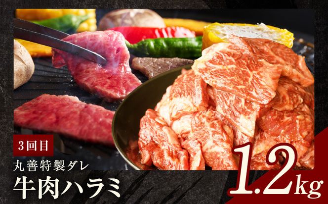 099Z241 焼肉定期便 総量3.4kg（肩ロース／牛タン／牛ハラミ）全3回 丸善味わい加工【毎月発送コース】