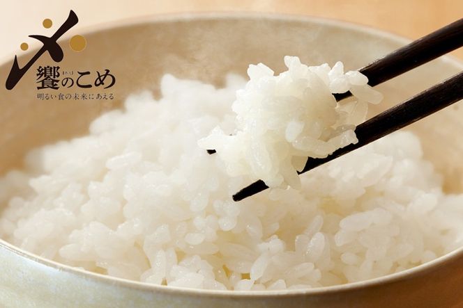 【期間限定発送】 米 令和7年 石川県産米 5kg×4種 計 20kg 精米 食べ比べ [中橋商事 石川県 宝達志水町 38601112] こしひかり コシヒカリ お米 こめ コメ 白米 ごはん 20キロ 石川