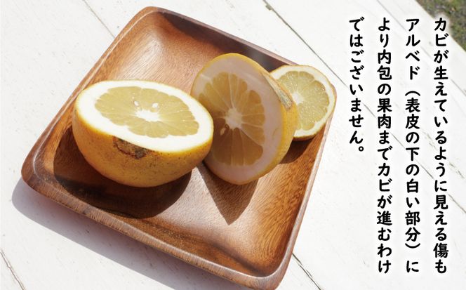 訳あり 文旦 13.5kg 13000円 ぶんたん みかん mikan 蜜柑 ミカン わけあり 家庭用 産地直送 国産 農家直送 糖度 期間限定 数量限定 特産品 ゼリー ジュース アイス 人気 限定 甘い 果実 果肉 フルーツ 果物 柑橘 ビタミン 健康 美味しい おいしい ジューシー 小玉 含む サイズ ミックス 規格外 傷み補償 500g ミッチーのおみかん畑 愛南町 愛媛県