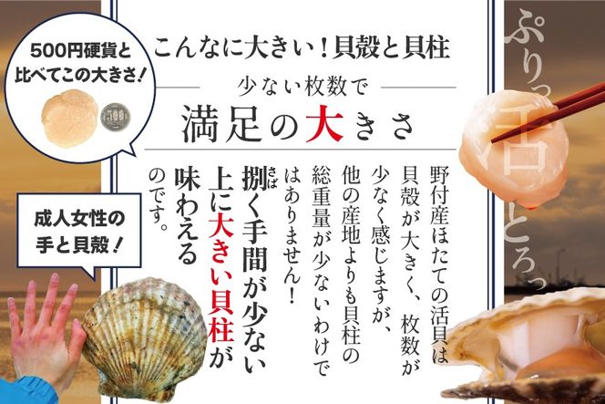 ジャンボ活ほたて 4kg相当 7～12枚入り＜朝どり新鮮出荷!＞【KN0000002】( ふるさと納税 ほたて 大玉 生食 活きほたて 生ホタテ 生帆立 生ホタテ貝柱 帆立貝柱 天然 冷蔵 刺身用 生 )
