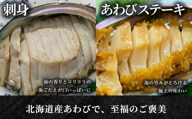 北海道室蘭産 天然蝦夷活あわび 3個入（1個100g～120g前後）（2026年1月中旬頃お届け） MROH010