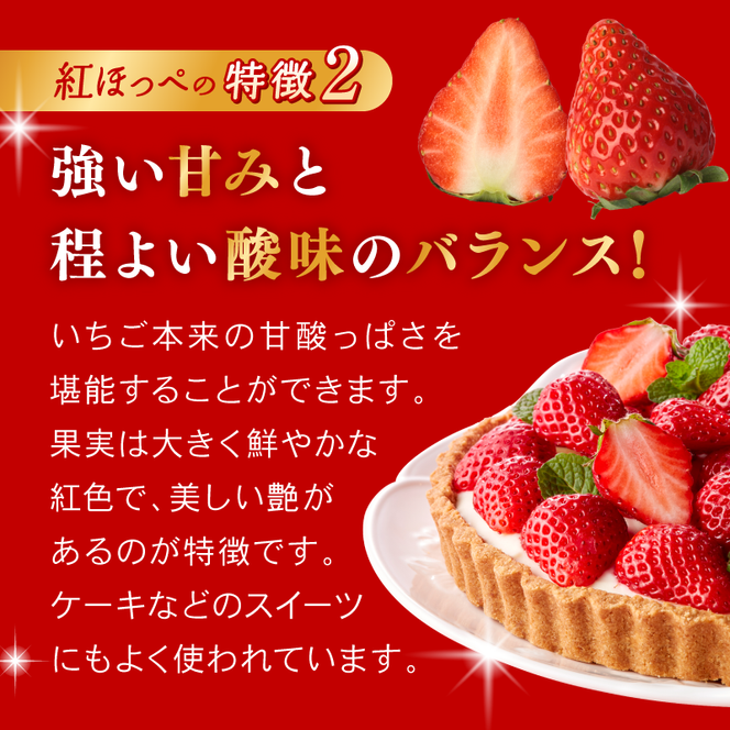 大河原町のいちご 完熟いちご 2パック 果物 フルーツ 苺 紅ほっぺ かおり みずみずしい ジューシー 期間限定 季節限定 いちご 小分け