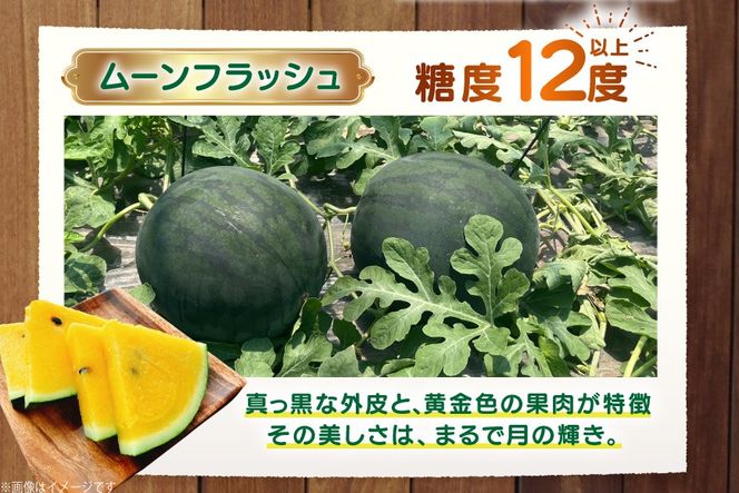 AJ458 【令和8年度出荷分】 湧水の里 モリファーム 大玉スイカ ムーンフラッシュ 3L 8～10kg 1玉 [ 先行予約 数量限定 すいか スイカ 西瓜 フルーツ 果物 長崎 長崎県 島原市 ]