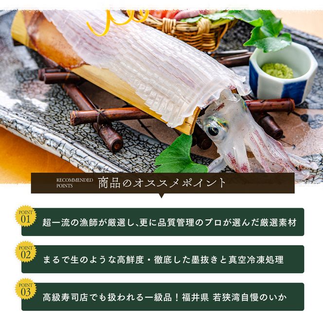 期間限定 剣先イカ 3～6杯 セット 詰め合わせ スミ抜き 冷凍 白イカ イカ 烏賊 いか 魚介 魚介類 海鮮 海鮮セット 限定 福井 福井県 若狭町