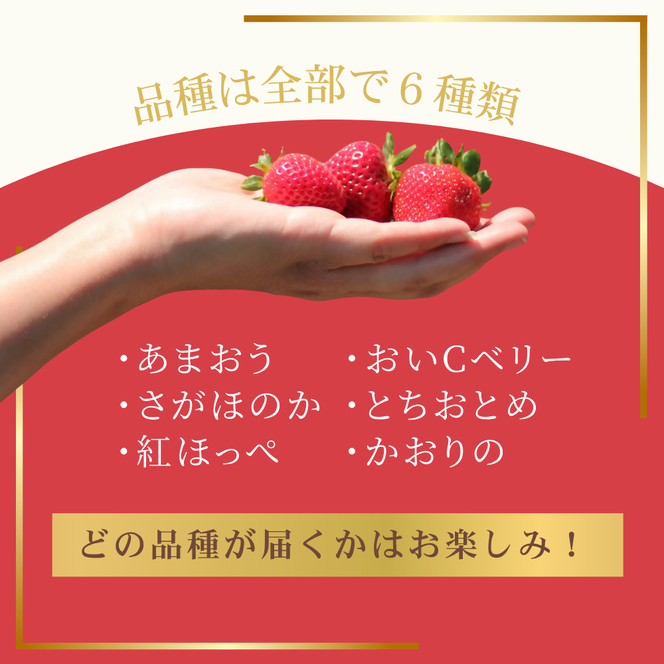 【定期便／3ヶ月連続お届け】何が届くかお楽しみ！人気のいちご2品種食べ比べ定期便 約300g×4P_HB0213