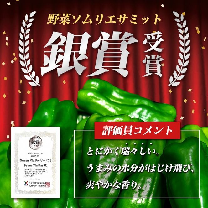 yuzuszuzuYs[}(1kg) p8-149