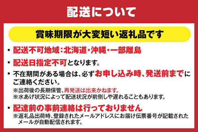 【香住ガニ 茹で切り 6肩 大サイズ カニ酢付 冷蔵】カニの水揚げ次第順次発送予定  カニの本場 香住産 食べ応えのある大サイズ6肩でお届け 最上質な香住ガニを見定め競り落とし 立派なカニを自信を持って提供 ふるさと納税 カニの旨味と甘味が抜群 鮮度抜群 香美町 香住 兵庫県 香住港 かに カニ ベニズワイガニ 産地直送 マルヤ水産 24000円 11-12