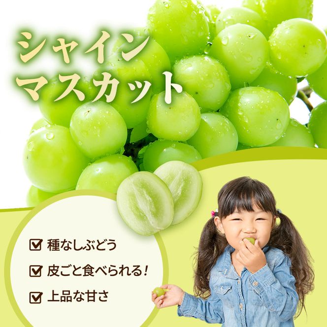 訳あり シャインマスカット 約2kg ご家庭用 辻葡萄園 ぶどう 葡萄 フルーツ 果物 岡山県産 岡山のぶどう 食後 デザート おやつ  数量限定