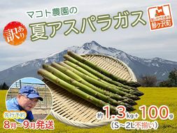 アスパラガス 先行予約 夏アスパラガス 約1.3kg+100g S～2L 約50本前後 訳あり 不揃い マコト農園 規格外 アスパラ グリーンアスパラ 野菜 旬 旬の野菜 産地直送 2026年 2026 予約 冷蔵配送 8月～9月発送