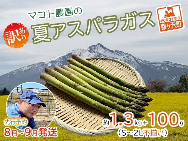 アスパラガス 先行予約 夏アスパラガス 約1.3kg+100g S～2L 約50本前後 訳あり 不揃い マコト農園 規格外 アスパラ グリーンアスパラ 野菜 旬 旬の野菜 産地直送 2026年 2026 予約 冷蔵配送 8月～9月発送
