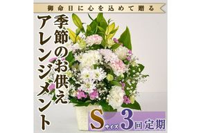 ＜定期便・3回(連続)＞季節のお供え用アレンジメント(生花：Sサイズ)生花 お花 花束 フラワー 植物 お供え 供花 仏花 命日 仏事 法事 贈り物【FM-20】【フラワーショップまつだ】