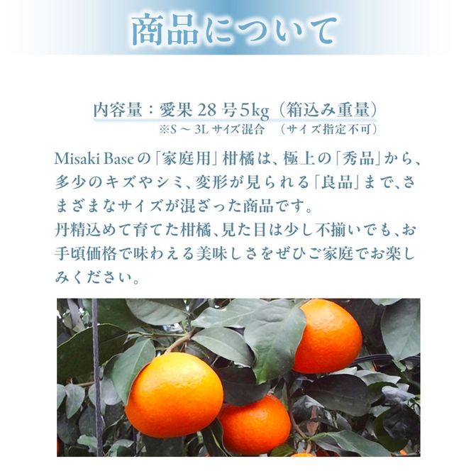 【先行予約】【家庭用】愛果28号 約5kg ※離島への配送不可（2026年12月中旬より順次発送） IKTAB002 