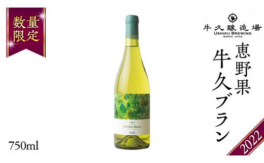 恵野果 牛久ブラン 2022 750ml×1本 茨城県産 牛久醸造場 日本ワイン ワイン 白ワイン 750ml ミディアムボディ お酒 贈り物 葡萄 ぶどう [BJ058us]