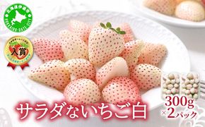 ＜2027年先行予約＞ サラダないちご（白）【ecg-001】