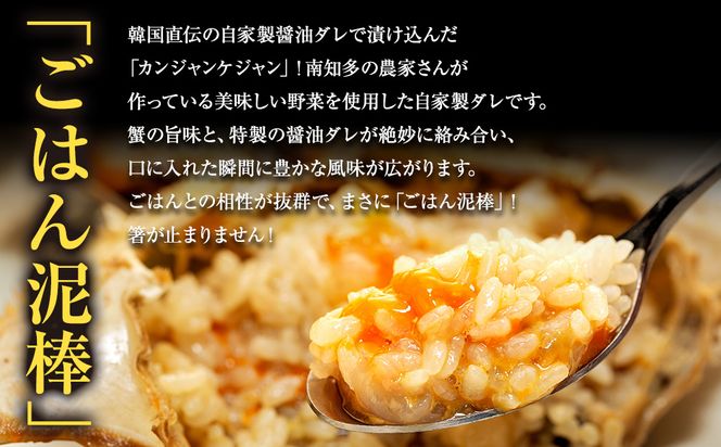 【選べる サイズ】訳あり 南知多カンジャンケジャン カンジャンケジャン ワタリガニの醤油漬け 魚介 魚介類 ワタリガニ 渡蟹  蟹 新鮮 グルメ カニ お米 に合う コメ に合う こめ に合う ご飯 のお供 おすすめ 韓国料理 韓国グルメ ケジャン おいしいカニ  晩酌 肴 おかず そうめん 雑炊 濃厚 内子 海の幸 国産 夕食 万能 まるごと ふるさと納税カニ 自家製ダレ 蟹の旨味 愛知県 南知多