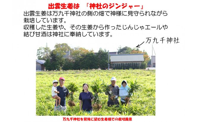 出雲生姜シロップ３本セット 322032_FW002