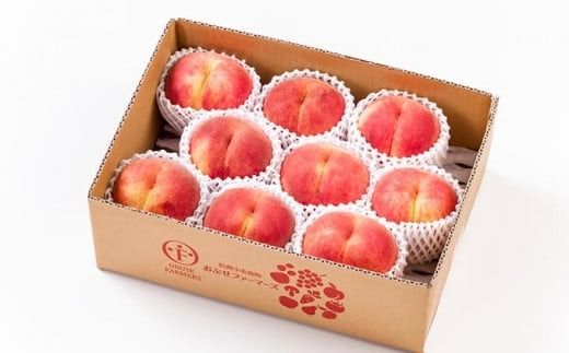 川中島白桃 約3kg 7～12玉 ［おぶせファーマーズ］桃 もも モモ フルーツ 果物 クール便 冷蔵便 長野県産 信州産 期間限定 数量限定 先行予約 2025 令和7年産【2025年8月中旬〜下旬発送】 ［F-19］