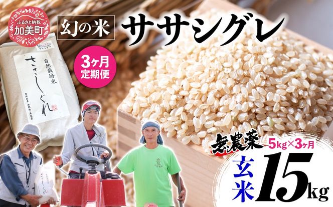 【新米予約】《 希少品種米 》 米 令和8年 宮城県産 ササシグレ ( 栽培期間中農薬・肥料不使用 ) 【 3回 定期便 】 玄米 5kg × 3ヶ月 （ 合計 15kg ）｜ 宮城県 加美町 無農薬 お米 こめ コメ ささしぐれ ササニシキ の 父 ｜ nt-ss05-gn-t3-r8 | nt-ss05-gn-t3-r8