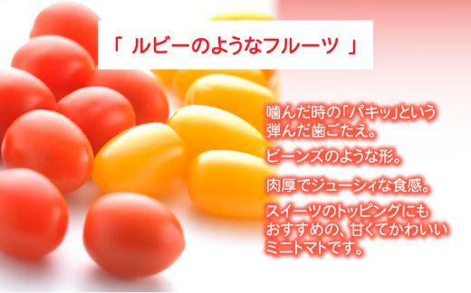 B51アメーラルビンズ＆ルビンズゴールド　5パック入り