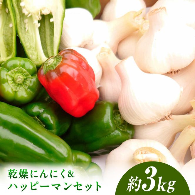 【先行予約】平戸にんにく＆ハッピーマンセット 約3kg〈2026年10月～11月末頃発送〉 ニンニク 自然乾燥平戸にんにく ピーマン 野菜 やさい おかず 副菜 お弁当 新鮮 おいしい 採れたて 国産 訳あり 高知県 土佐市【株式会社植田ファーム】[BQAT010]
