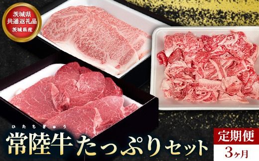 【茨城県共通返礼品】茨城県産【定期便】常陸牛 たっぷりセット 3ヶ月連続 定期便 お肉 牛肉