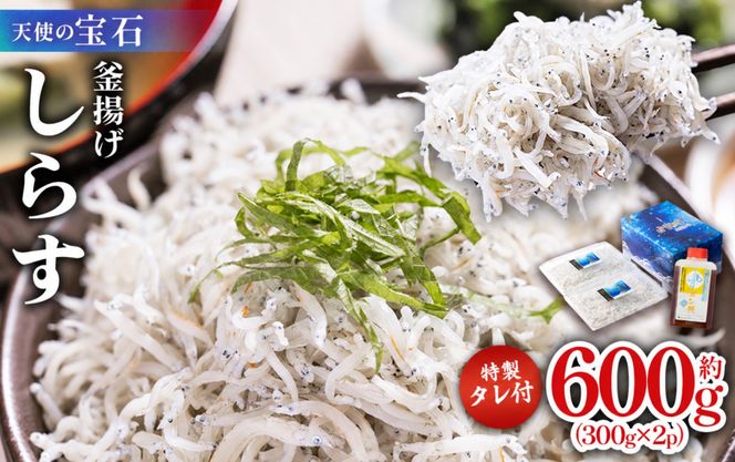 海鮮 定期便 海の幸 魚介類全 3回 3ヶ月 3か月 おかず ご飯のお供 冷凍 人気 セット お楽しみ うなぎ 蒲焼 鰻 うな重 うな丼 国産 釜揚げ 天使の宝石 しらす丼 じゃこ 藁焼き 訳あり 土佐 刺身 本場 Wky-15