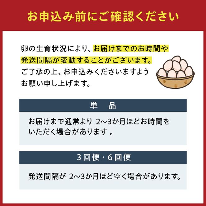 【6回便】名古屋コーチン卵(30個入り)×6回（計180個） [006K03-T]