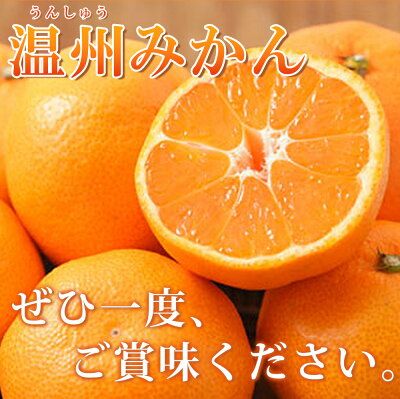 G7344_【2026年11月下旬より発送】紀州 有田産 濃厚甘熟 温州みかん 5kg (小粒サイズ)