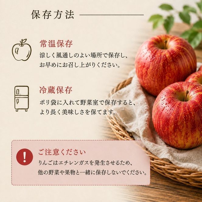 【2026年10月発送】 シナノスイート約3kg 7～9玉 りんご 長野県産