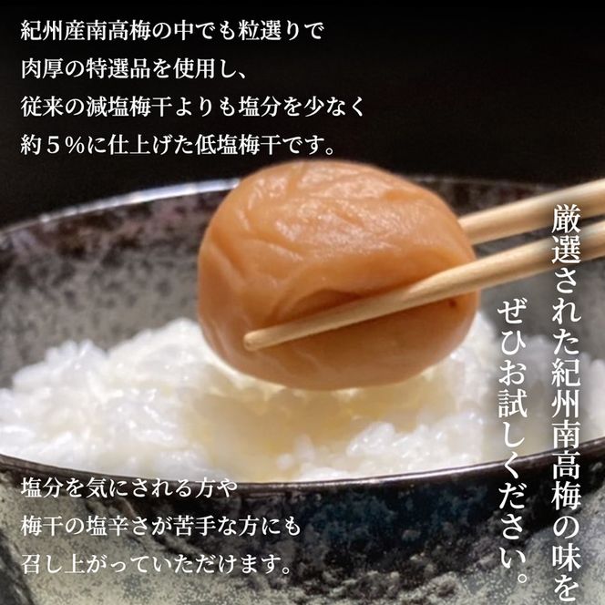 SF2005_特選紀州南高梅「白梅の里」ほのか　600ｇ