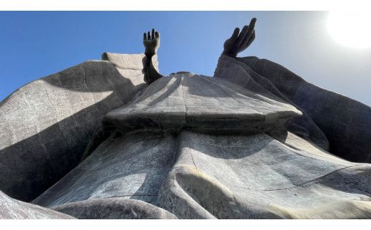 地上20ｍ 牛久大仏 足元 お身拭い 体験 ツアー ※ 平日限定 ※ （ 5名様まで ） 貸切 参加券 体験チケット 観光 ふるさと納税限定 [DR004us]