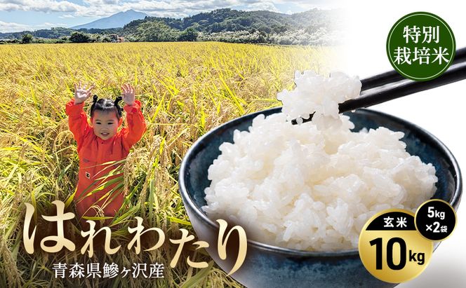 令和8年産 米 特別栽培米 はれわたり 10kg [玄米] 青森県産 新米 先行予約 10キロ (5kg×2) 特A 小分け 一人暮らし 鰺ヶ沢町 送料無料《H.GREENWORK》【10月中旬以降順次発送】