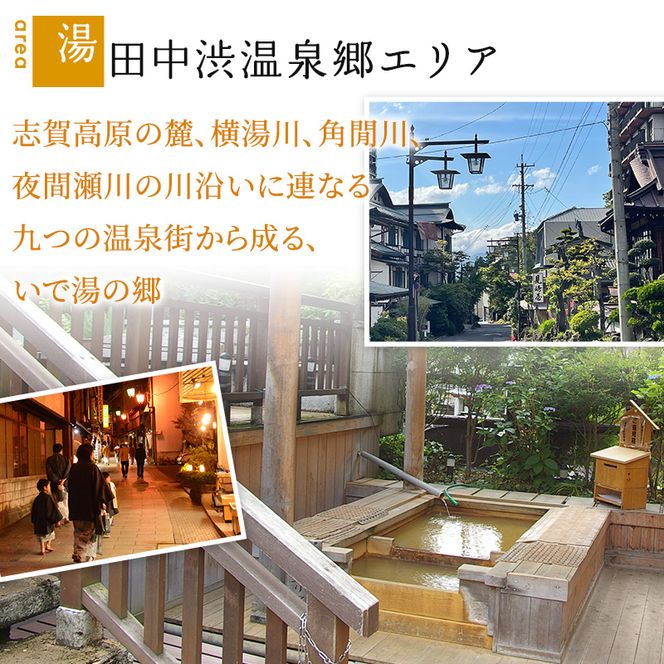 山ノ内町内宿泊補助券（12枚）1年間有効 60,000円分 旅行 宿泊券 ホテル 旅館 チケット 宿泊 補助券 志賀高原 湯田中渋温泉郷 北志賀高原 地獄谷野猿公苑  温泉 ギフト 自然 観光 長野県 信州 冬 スキー