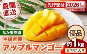 【化粧箱入り】【先行受付・2026年発送】なか果樹園 アップルマンゴー 優品 約1kg - 産地直送 先行予約 沖縄県産 贈り物 ギフト プレゼント 南国フルーツ 旬の味覚 オススメ 沖縄県 八重瀬町