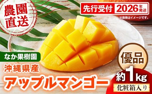 【化粧箱入り】【先行受付・2026年発送】なか果樹園 アップルマンゴー 優品 約1kg - 産地直送 先行予約 沖縄県産 贈り物 ギフト プレゼント 南国フルーツ 旬の味覚 オススメ 沖縄県 八重瀬町