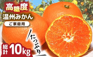 【2024年11月下旬〜発送】【高糖度】 温州みかん 約10kg / みかん 南島原市 / 南島原果物屋 [SCV012]