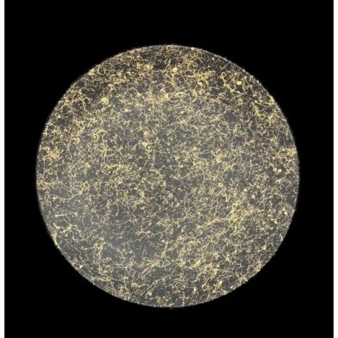 丸小皿 乱糸（マット仕上げ）5枚セット［NF99］ 303446_CU90046