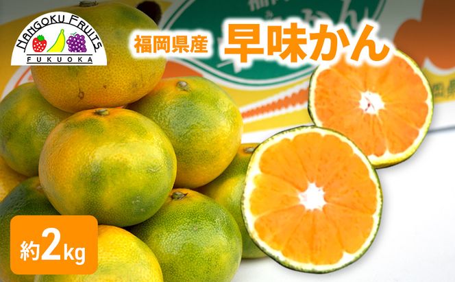 みかん 福岡ブランド みかん・早味かん 約2kg 柑橘 ミカン フルーツ 果物 ※配送不可:離島