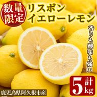 数量限定！リスボンイエローレモン(5kg) 国産 果実 果物 リスボンレモン フルーツ 檸檬 柑橘 デザート 期間限定【桐野柑橘株式会社】akn070-15