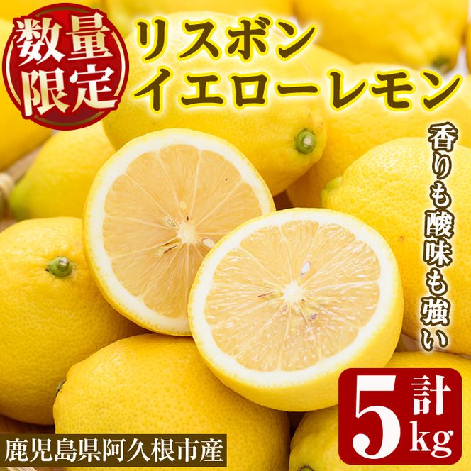 数量限定！リスボンイエローレモン(5kg) 国産 果実 果物 リスボンレモン フルーツ 檸檬 柑橘 デザート 期間限定【桐野柑橘株式会社】akn070-15