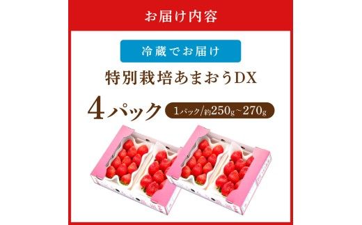【先行予約受付中】【2026年12月以降順次発送】特別栽培あまおうDX4パック【うるう農園】_AS1966-00