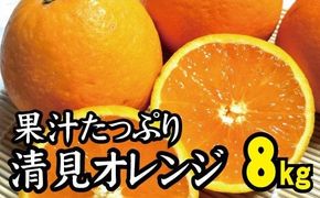 ＼光センサー選別／【農家直送】先行予約 果汁たっぷり！清見オレンジ 約8kg 有機質肥料100%　 サイズ混合　※2026年3月上旬より順次発送予定（お届け日指定不可） みかん 柑橘類【nuk112B】